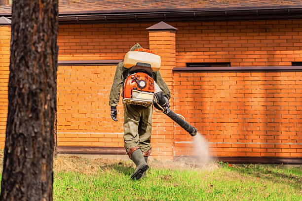 Trusted Ant Control service in El Monte, CA - Nex Pest Control